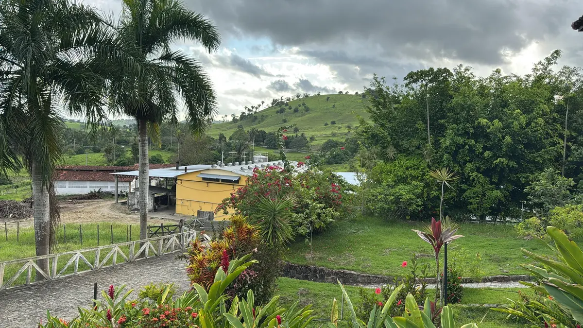 Fazenda Novo Horizonte em Chã Preta (AL), com palmeiras, jardim e morros verdes ao fundo